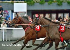cle millionnaire turf|BELLES TURF.